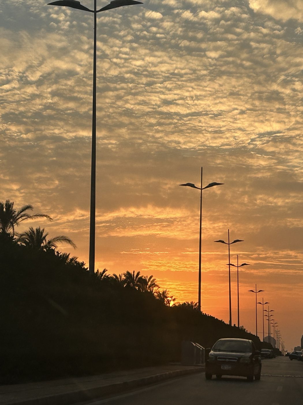 An orange sunset over a road lined with palm trees